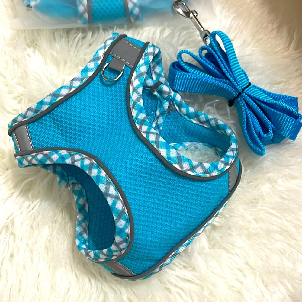 Cat Harness & Leash S